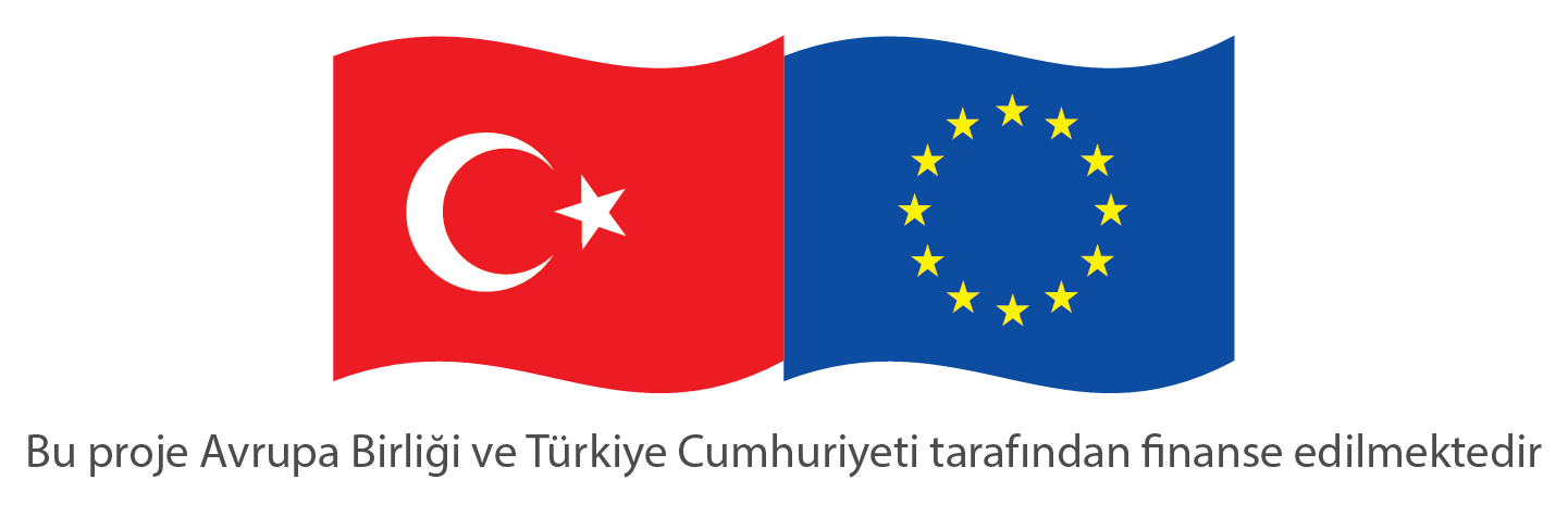 EU in Turkey
